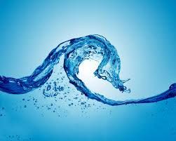 Importance de l'Eau